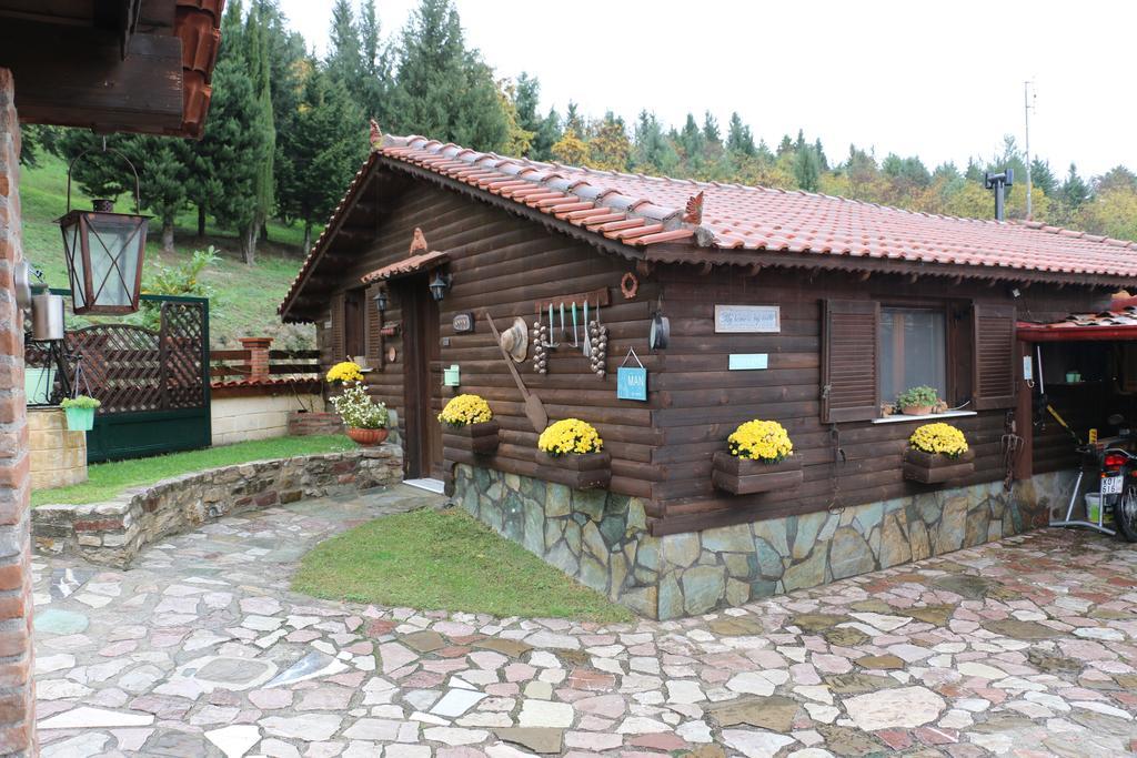 Traditional Guesthouse Tríkala Exteriör bild